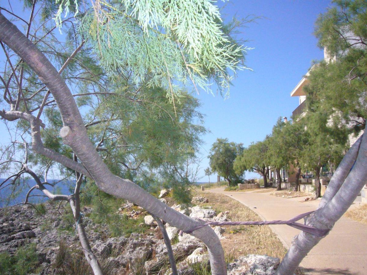 Holiday Home Randemar S'Illot  Εξωτερικό φωτογραφία